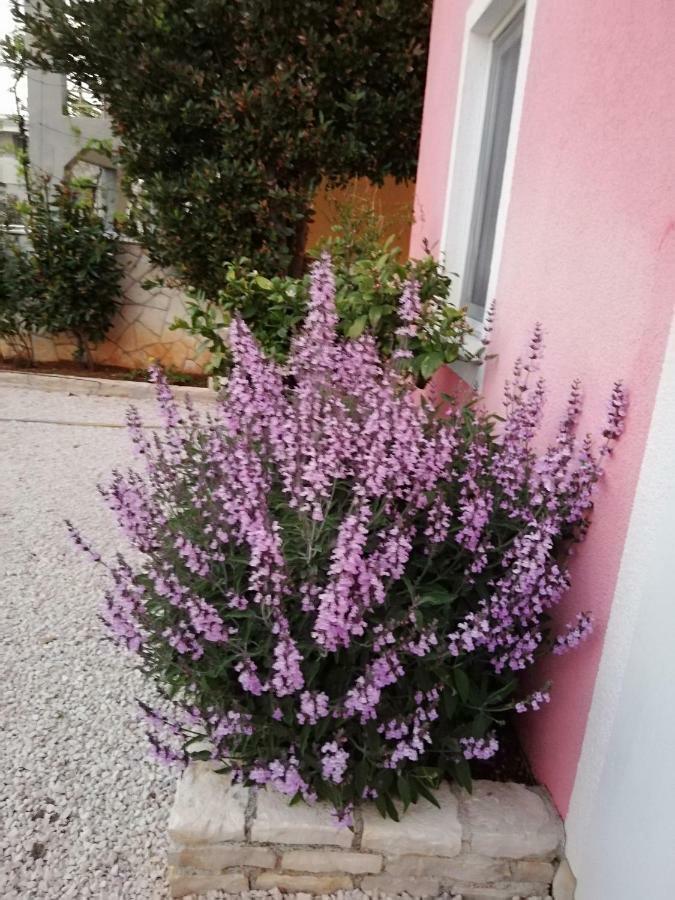Apartmani Poljanec Vir Buitenkant foto