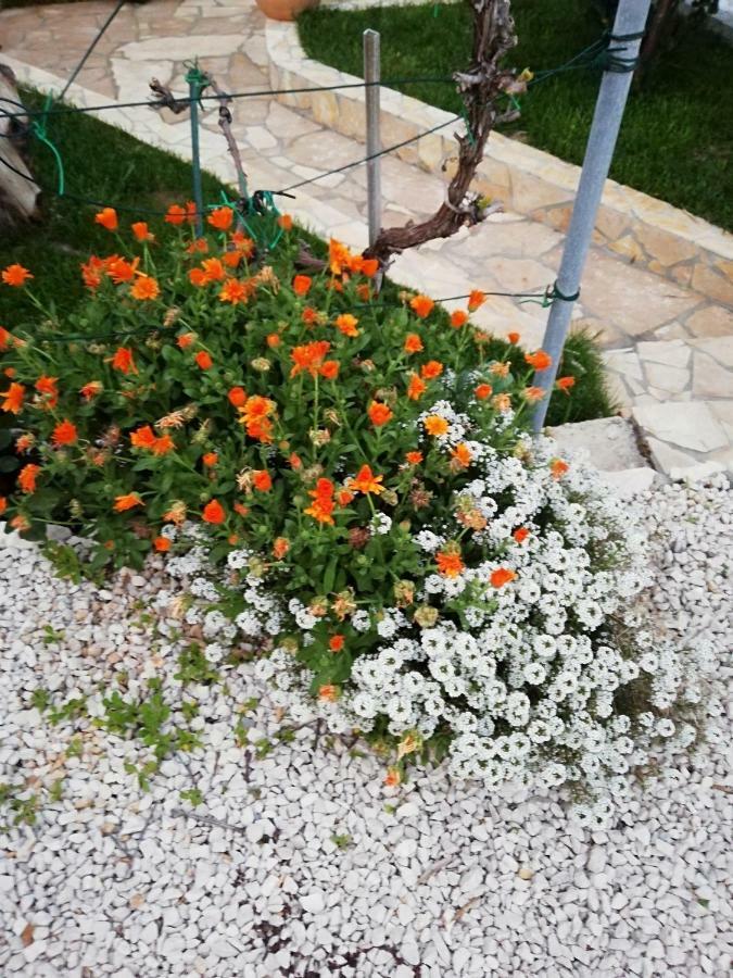 Apartmani Poljanec Vir Buitenkant foto